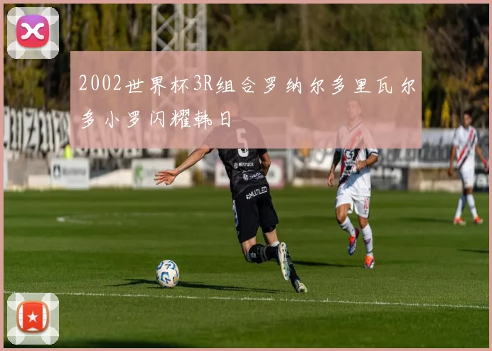 2002世界杯3R组合罗纳尔多里瓦尔多小罗闪耀韩日