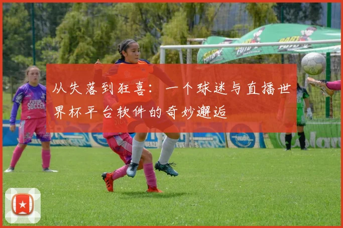 从失落到狂喜：一个球迷与直播世界杯平台软件的奇妙邂逅
